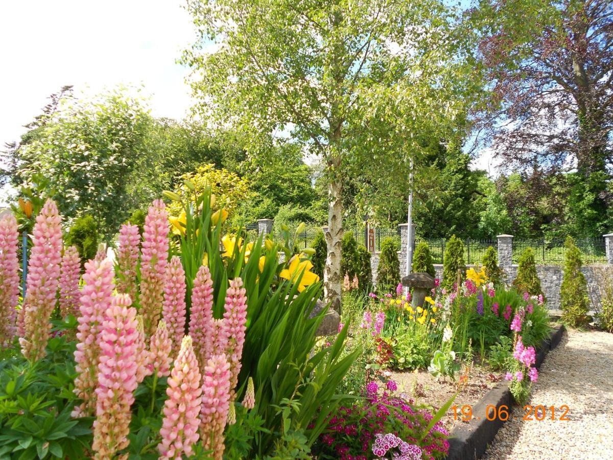 The Yellow House B&B Navan Exterior foto